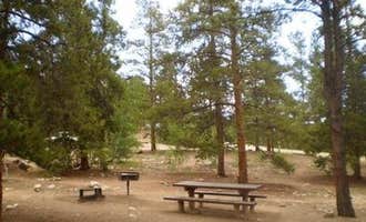 Camping near White Star: Lakeview Campground, Granite, Colorado