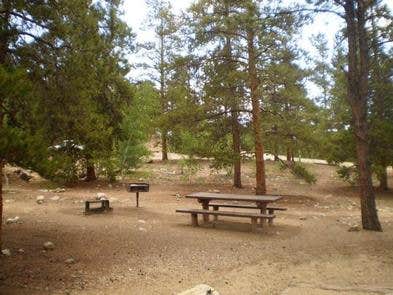 Camper submitted image from Lakeview Campground - 1