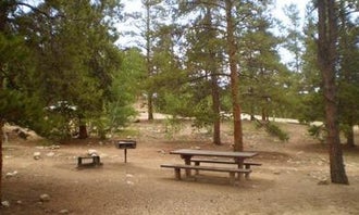 Camping near Twin Peaks Campground: Lakeview Campground, Granite, Colorado