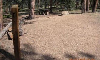 Camping near Lone Rock Campground: Buffalo Campground, Buffalo Creek, Colorado