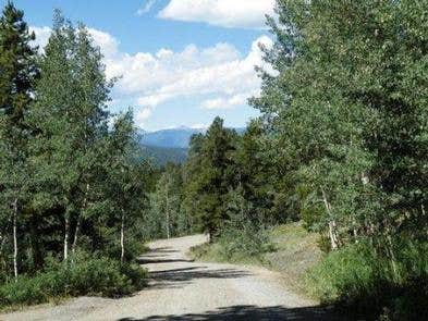 Camper submitted image from Cold Springs - Arapaho Roosevelt Nf (CO) - 3