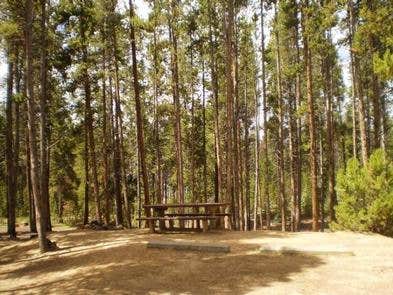 Camper submitted image from Silver Dollar - 3