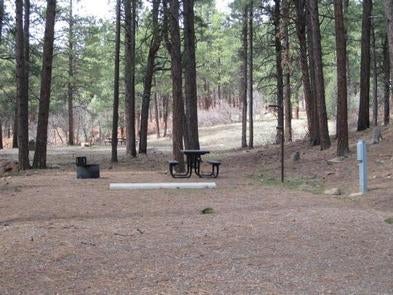 Camper submitted image from Junction Creek Campground - 5