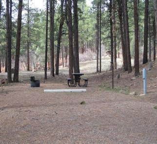 Camper-submitted photo from Durango North-Riverside KOA
