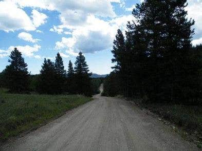 Camper submitted image from Columbine Campground - Outside of Denver - 1