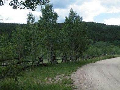 Camper submitted image from Columbine Campground - Outside of Denver - 3