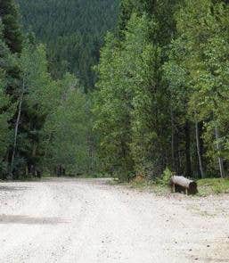 Camper submitted image from Columbine Campground - Outside of Denver - 2