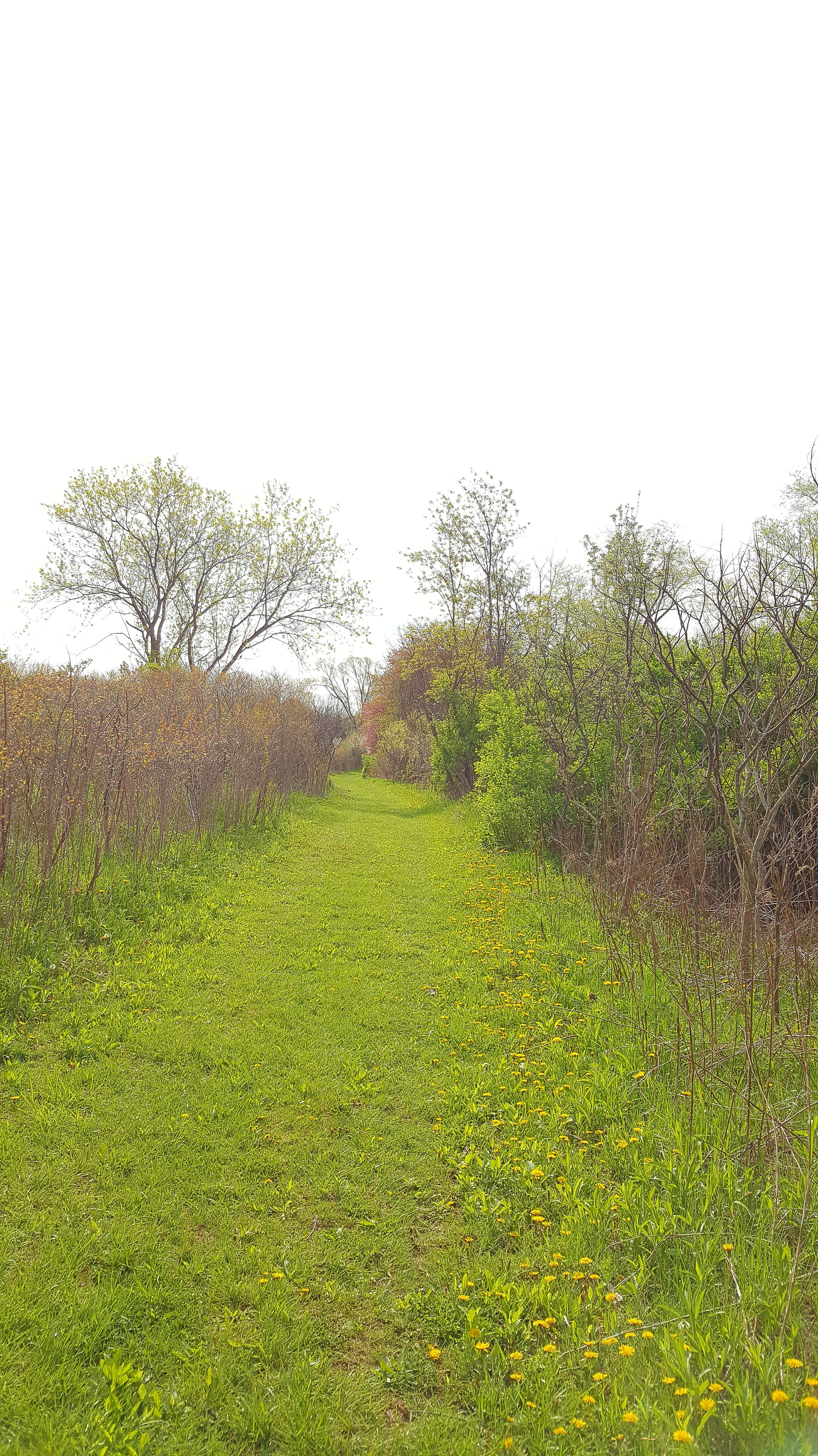 Camper submitted image from Sunrise Campground — Richard Bong State Recreation Area - 2