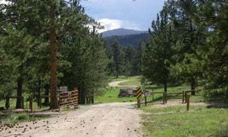 Camping near Narrows (CO): Jacks Gulch - **CLOSED FOR SEASON**, Red Feather Lakes, Colorado