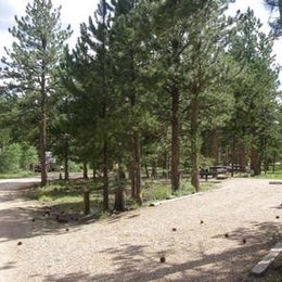 Public Campgrounds: Jacks Gulch - **CLOSED FOR SEASON**