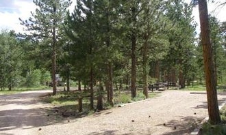 Camping near Cache la Poudre River: Jacks Gulch - **CLOSED FOR SEASON**, Red Feather Lakes, Colorado