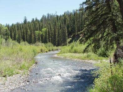 Camper submitted image from Blanco River Group Campground - 3