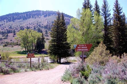 Camper-submitted photo at Red Bridge Campground near Powderhorn, CO