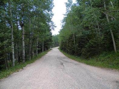 Camper submitted image from Southside Campground - Lake Isabel - 3