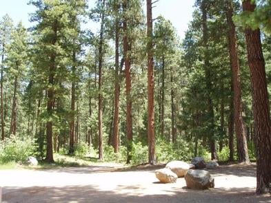 Camper submitted image from Vallecito Campground - 1