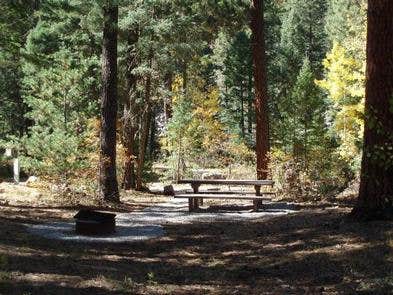 Camper submitted image from Vallecito Campground - 1