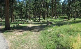 Camping near Historic Triple B Ranch: Colorado Campground, Woodland Park, Colorado
