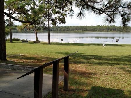 Camper submitted image from Camel Lake Campground - 4