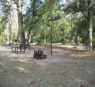 Camper-submitted photo from Trimble Park Campground