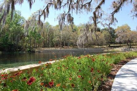 Camper submitted image from Salt Springs Recreation Area - 1