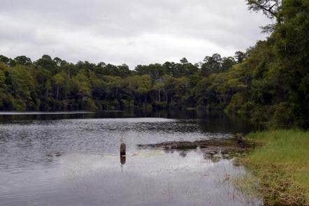 Camper submitted image from Wright Lake Campground - 4