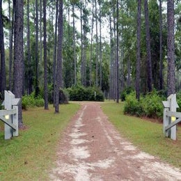 Public Campgrounds: Wright Lake Campground