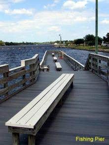 Bonita Springs photo 5