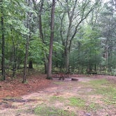 Review photo of Roche A Cri State Park Campground by Matt S., September 11, 2016