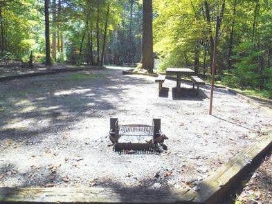 Camper submitted image from Willis Knob Horse Camp - 4