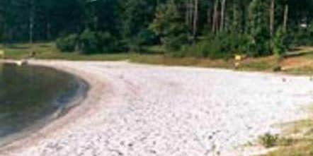 Camper submitted image from Duckett Mill