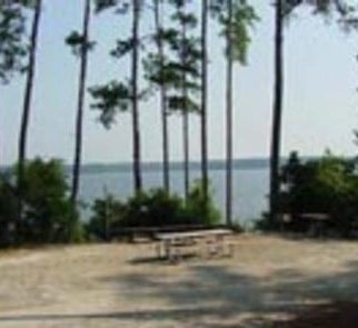 Camper-submitted photo from Ridge Road - J Strom Thurmond Lake
