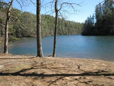 Camper submitted image from Lake Rabun Beach Recreation Area - 1