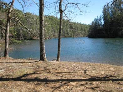 Camper submitted image from Lake Rabun Beach Recreation Area - 1