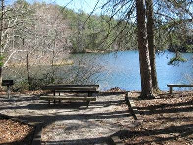 Camper submitted image from Lake Rabun Beach Recreation Area - 4