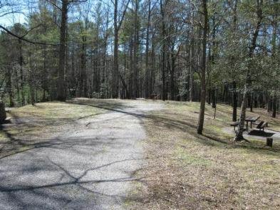 Camper submitted image from Lake Rabun Beach Recreation Area - 5