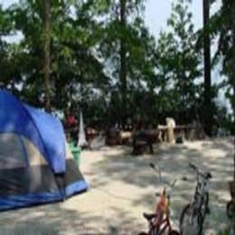 Public Campgrounds: Winfield - J Strom Thurmond Lake