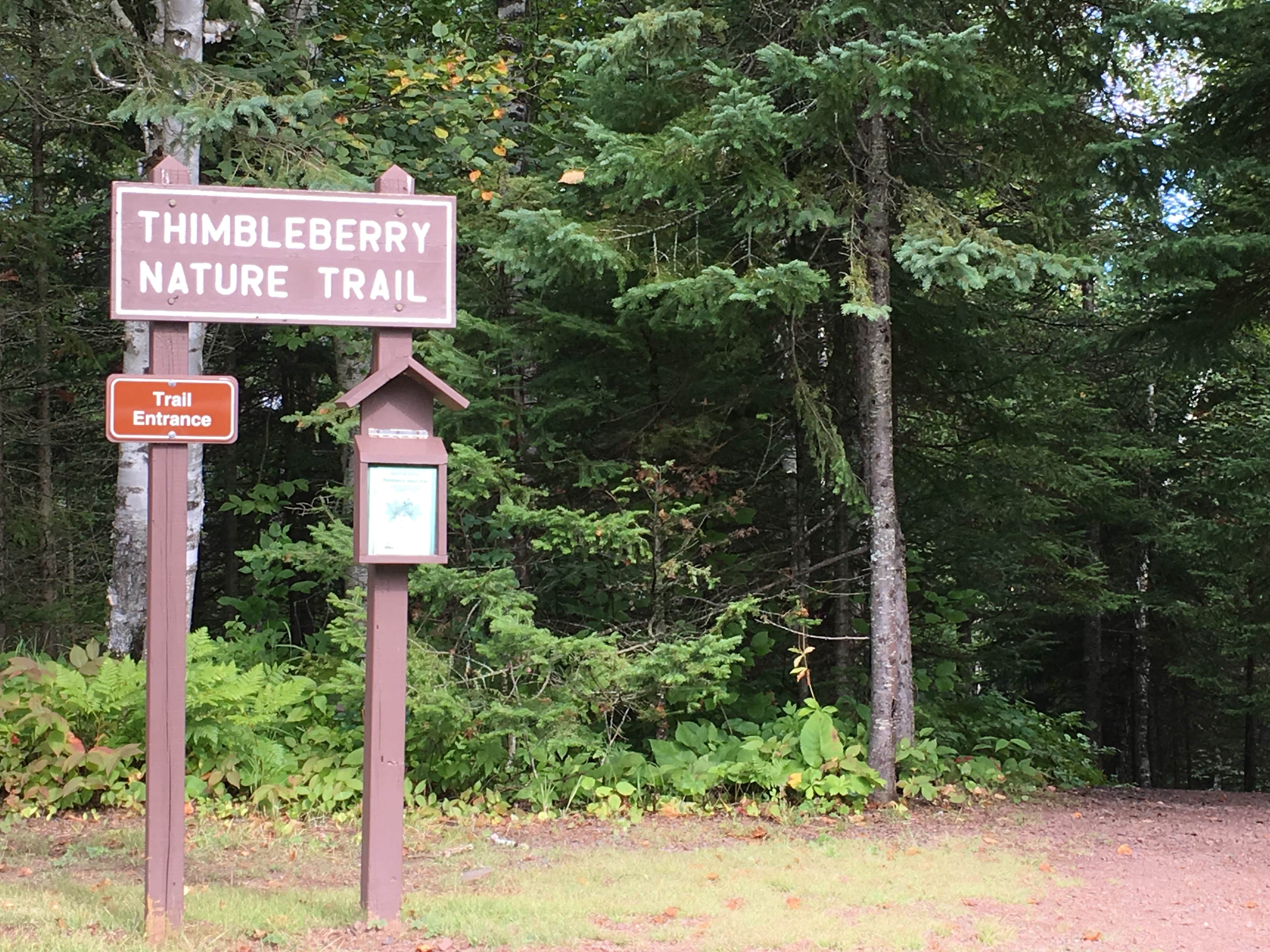 Camper submitted image from Amnicon Falls State Park Campground - 4