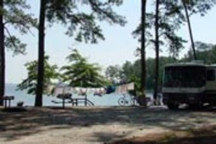 Camper submitted image from Petersburg - J Strom Thurmond Lake - 2
