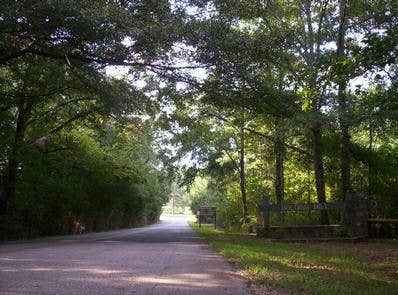 Camper submitted image from Bolding Mill - 4