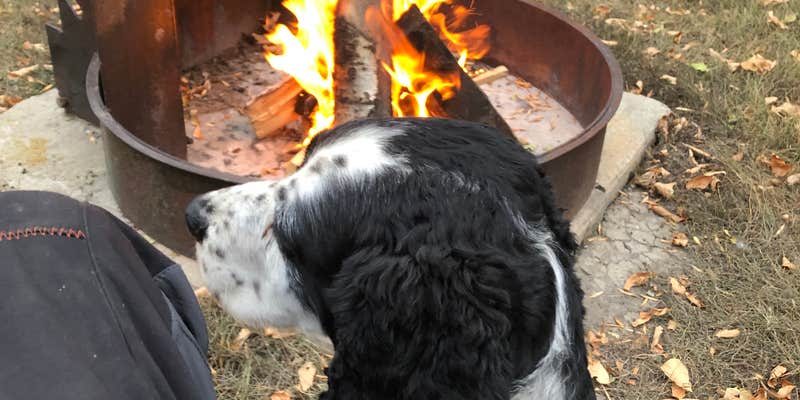 Camper submitted image from West Pollock Recreation Area