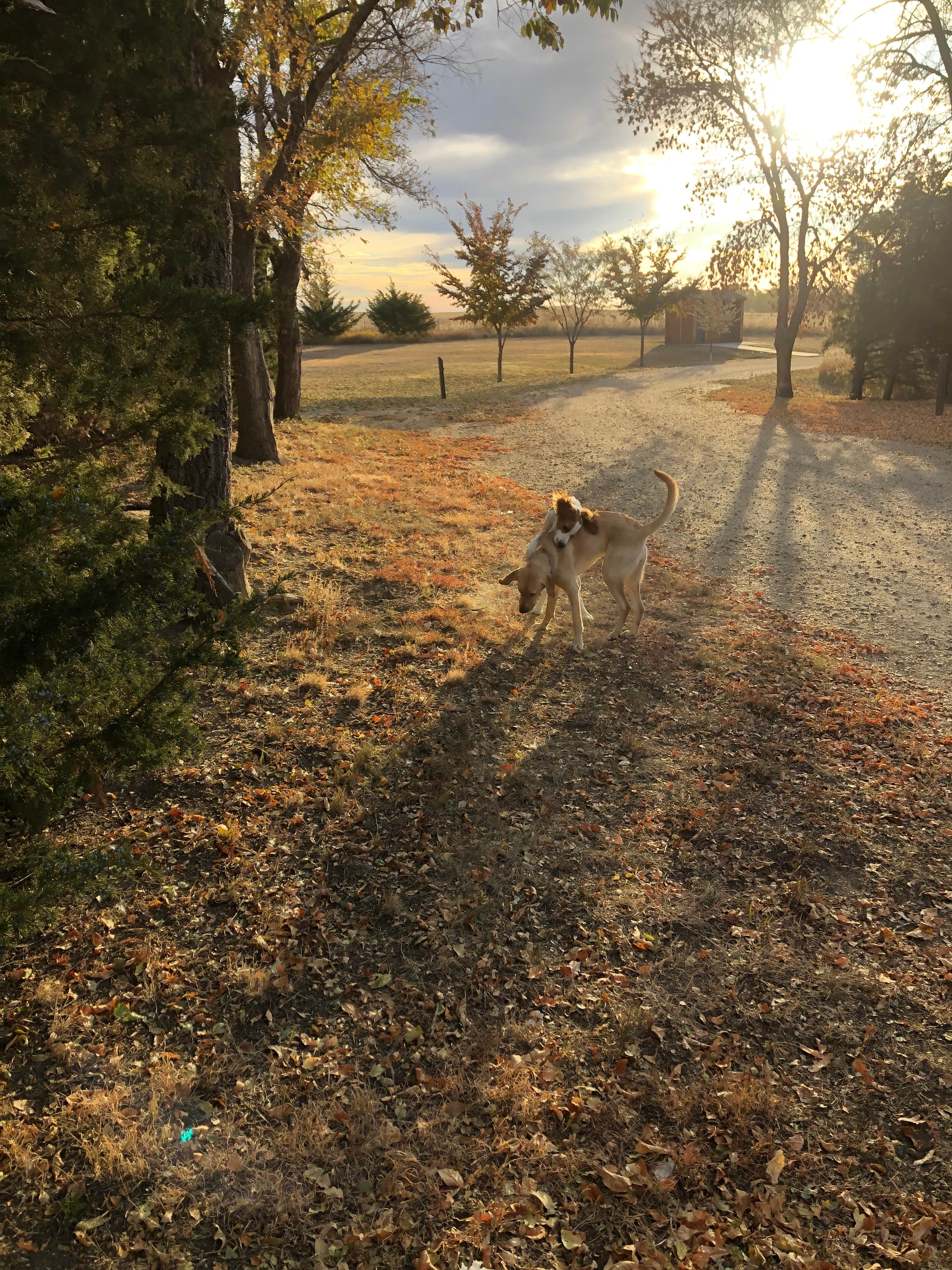 Camper submitted image from West Pollock Recreation Area - 4