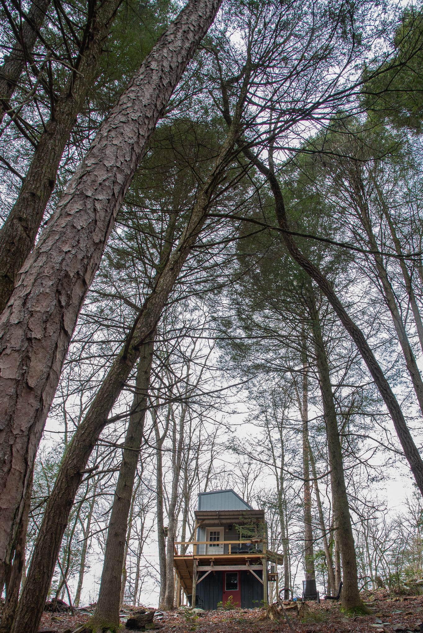 The Dyrt's photo of a cabin at Oak Cabin at Ranger Creek near Pocahontas, TN