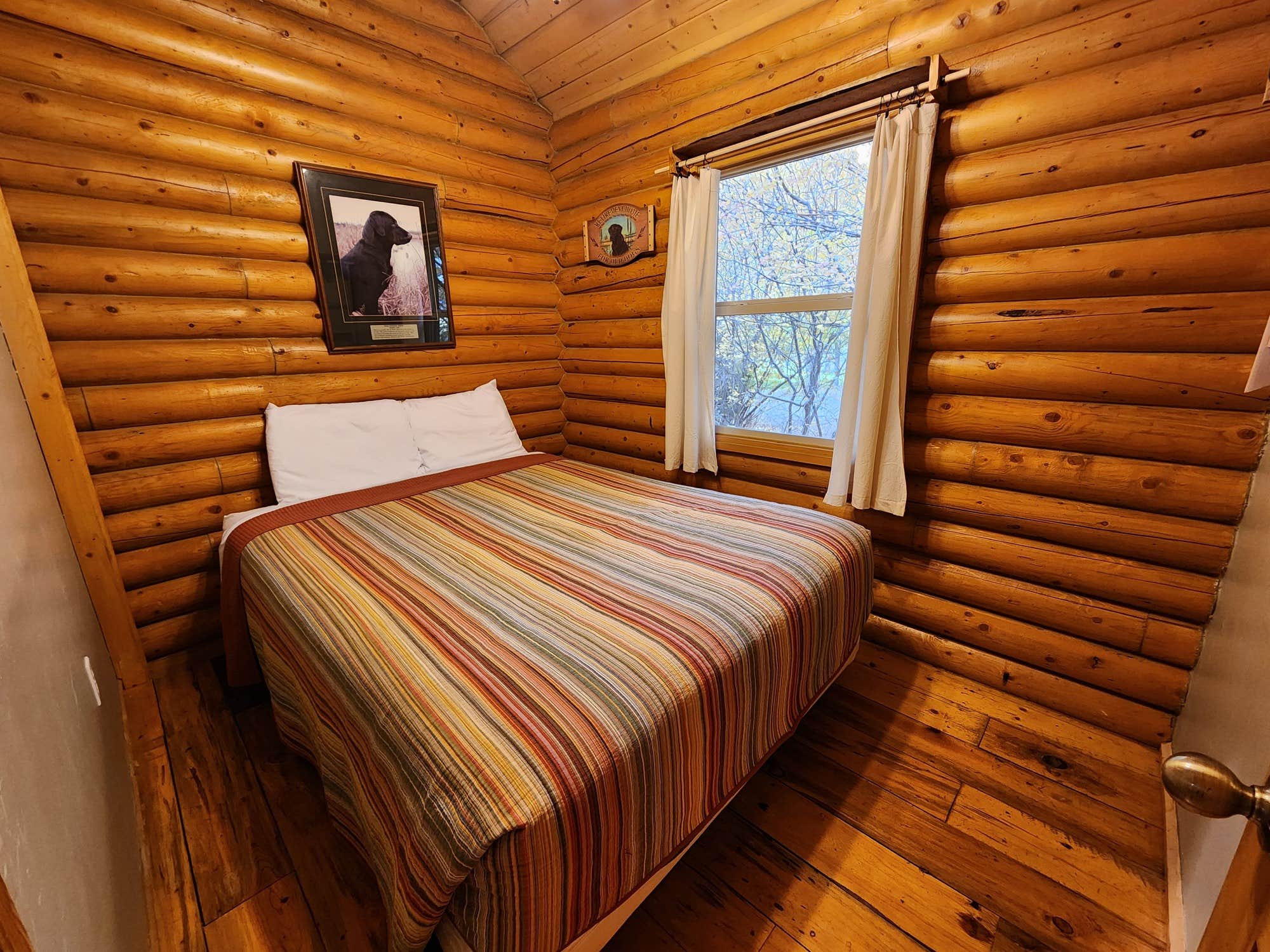 The Dyrt's photo of camping with pets at Pine Creek Cabins Resort near Beaver, UT