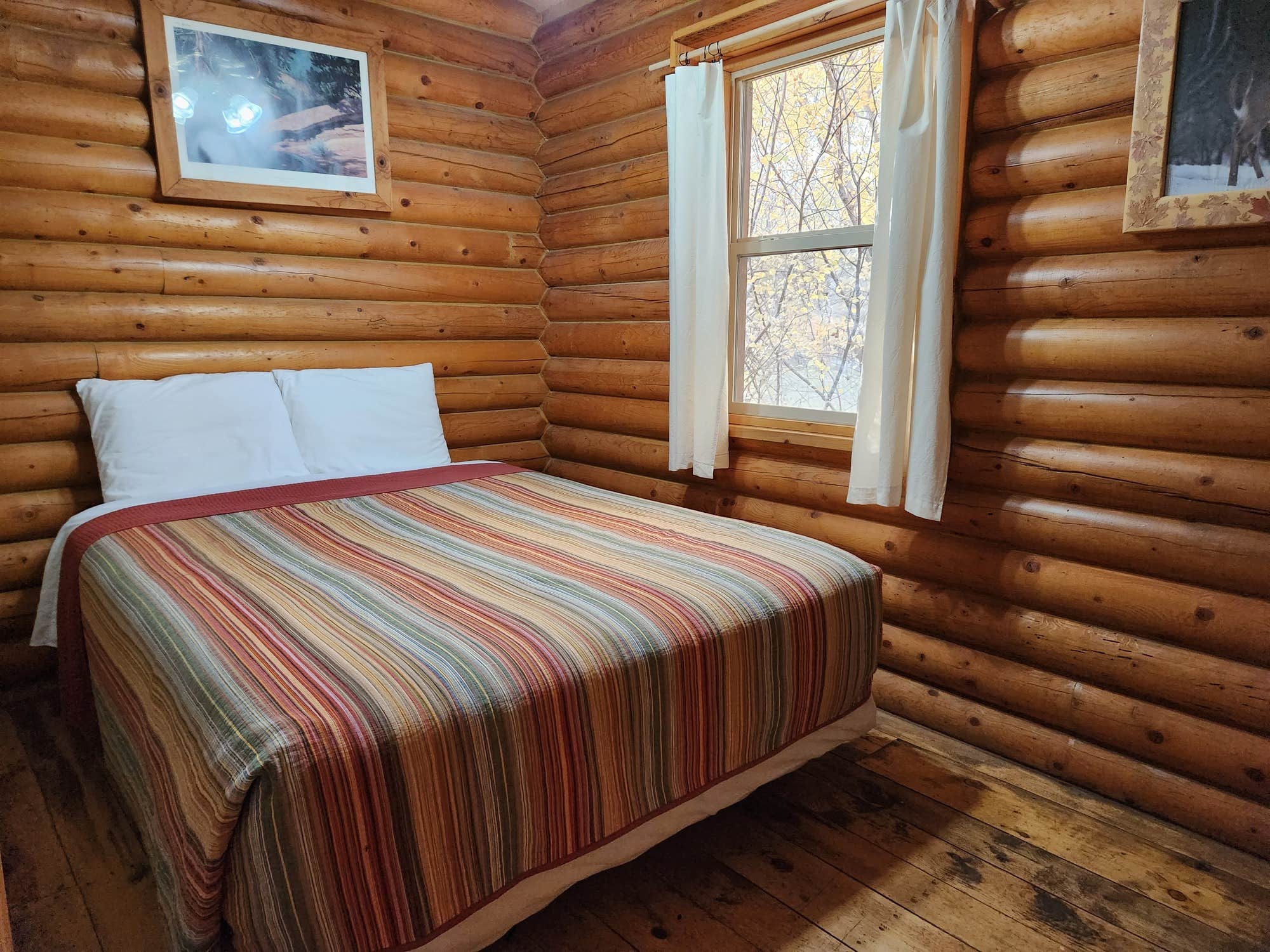 The Dyrt's photo of glamping accommodations at Pine Creek Cabins Resort near Aurora, UT