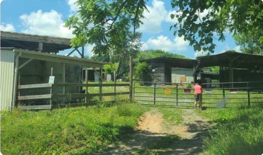 Camper-submitted photo at Bellebrook Acres near St. Paul, VA