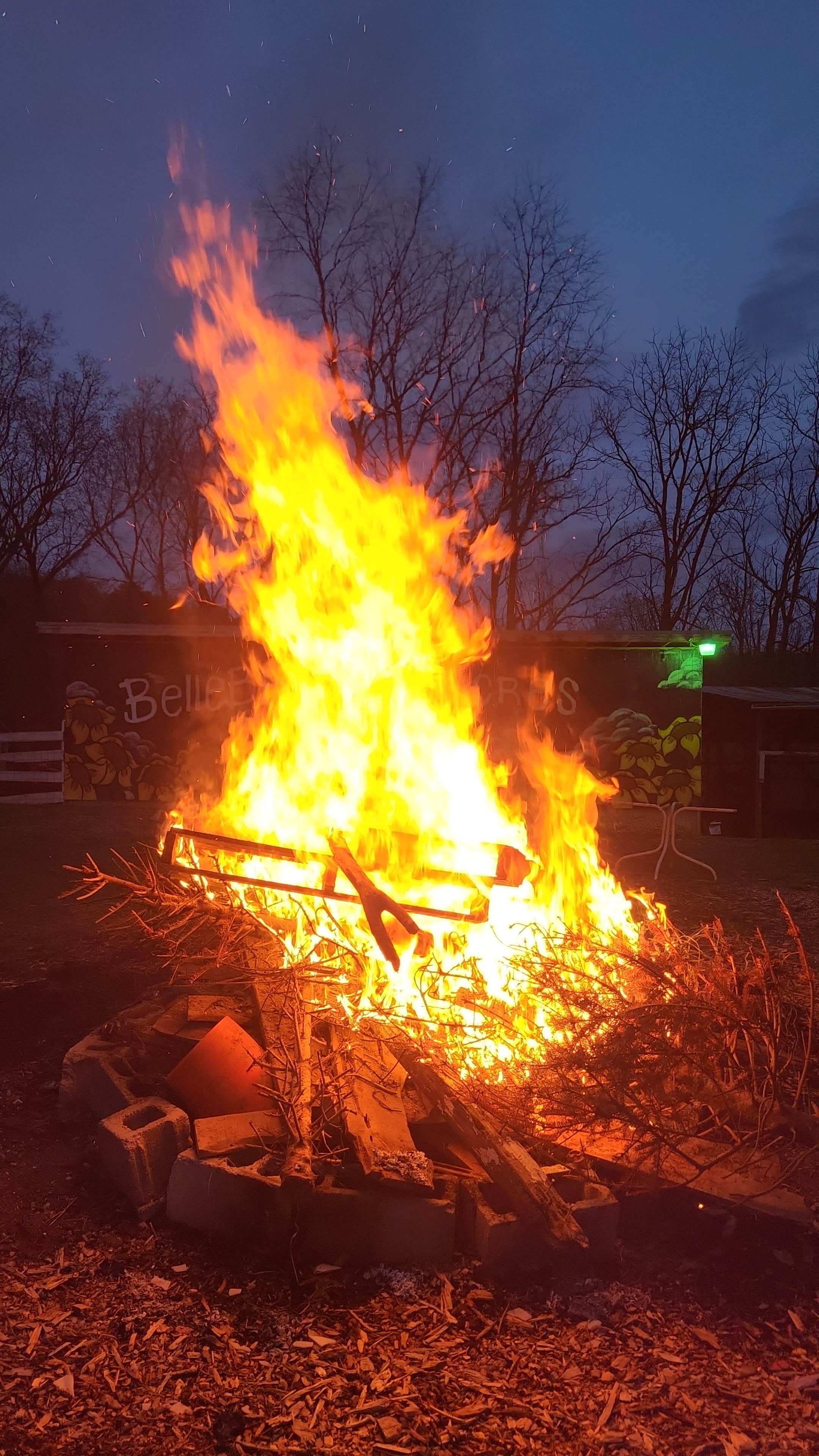Camper-submitted photo at Bellebrook Acres near St. Paul, VA