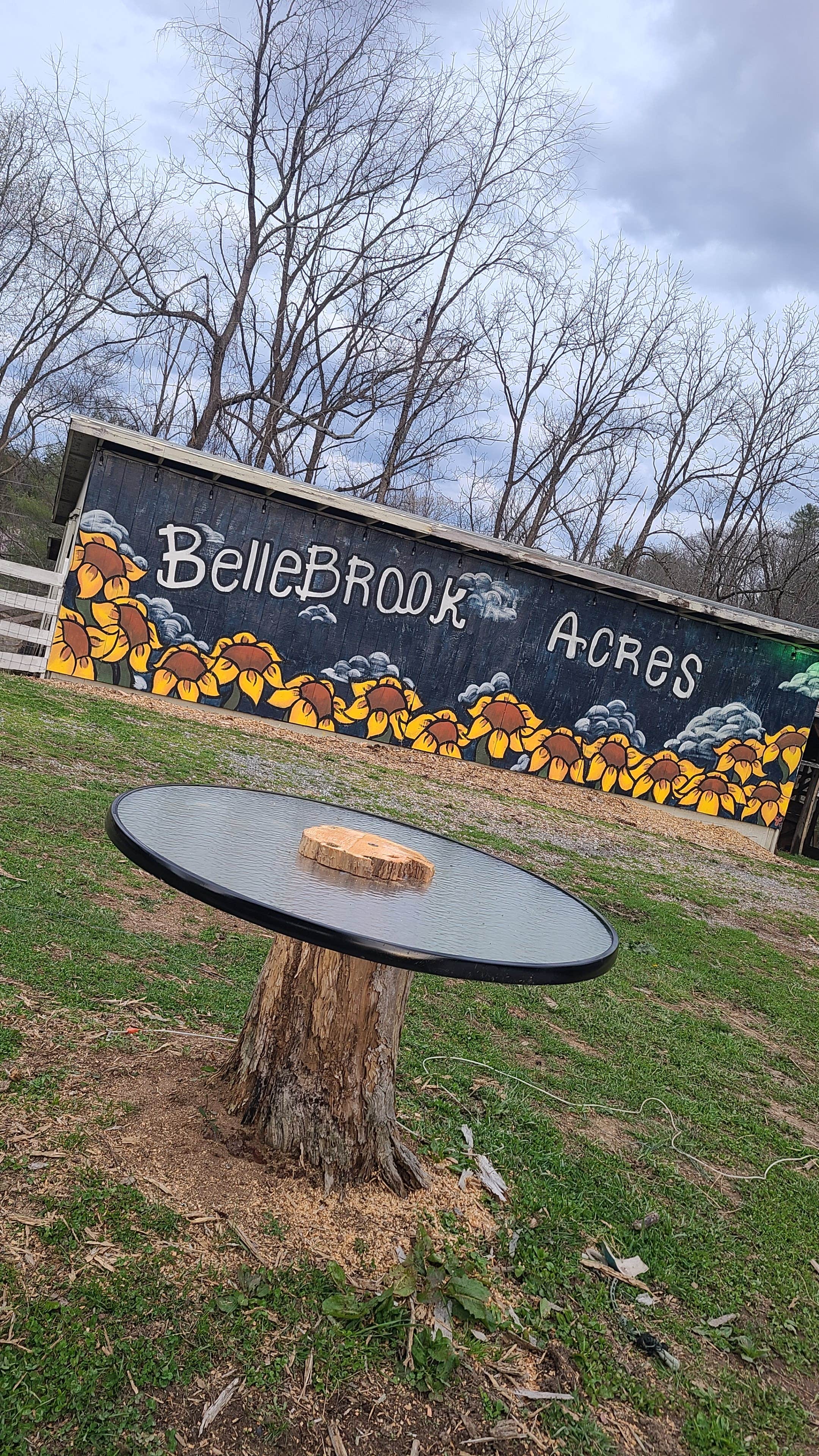 Camper-submitted photo at Bellebrook Acres near St. Paul, VA