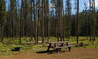 Camping near Flat Rock Campground: Bonanza CCC Group Campground, Stanley, Idaho