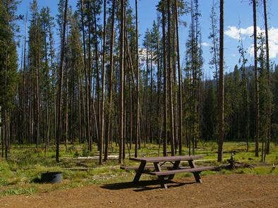 Camper submitted image from Bonanza CCC Group Campground - 1