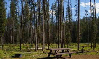 Camping near Tin Cup: Bonanza CCC Group Campground, Stanley, Idaho